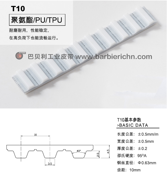 T10齿型