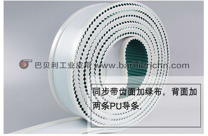 T10+2条导条2
