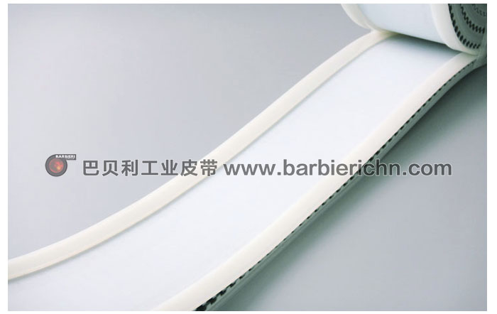 T10+2条导条4
