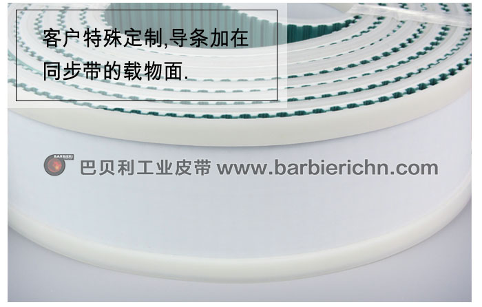T10+2条导条3