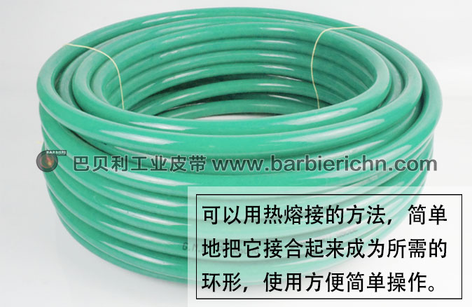 光面圆带1 绿色